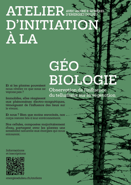 Flyer pour les ateliers d'initiation à la géobiologie d'EnergiesDuLieu