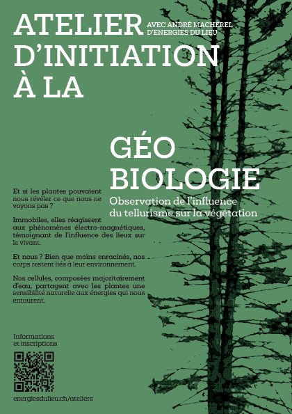 Flyer pour les ateliers d'initiation à la géobiologie d'EnergiesDuLieu